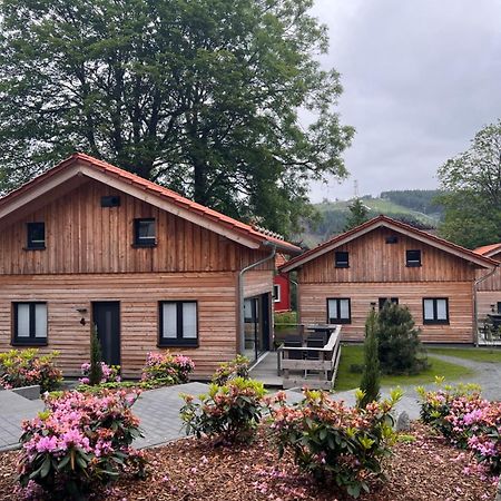 Cecilienpark Oberharz Villa Goslar Exterior photo
