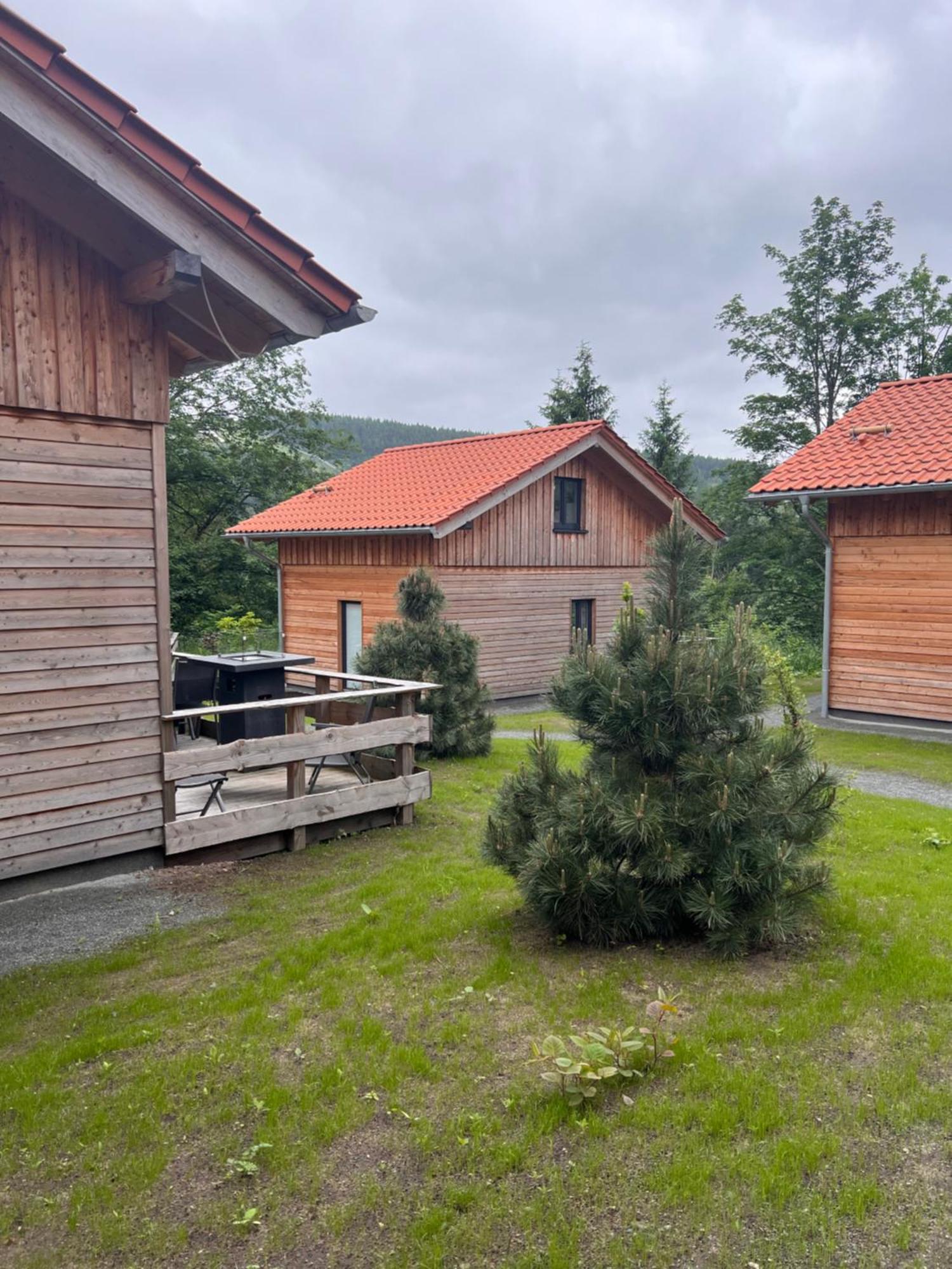 Cecilienpark Oberharz Villa Goslar Exterior photo